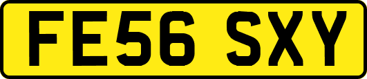 FE56SXY