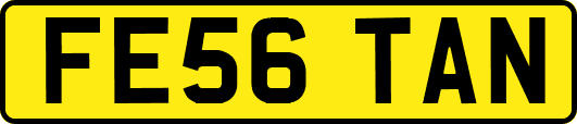 FE56TAN