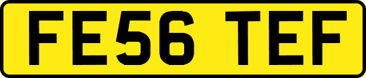 FE56TEF