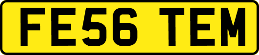 FE56TEM