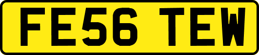FE56TEW