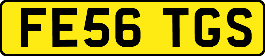 FE56TGS