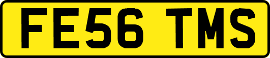 FE56TMS