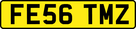 FE56TMZ