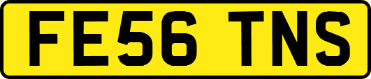 FE56TNS