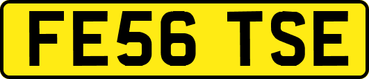 FE56TSE