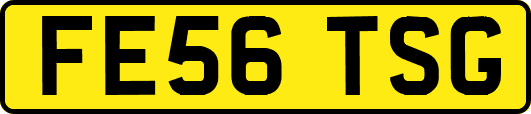 FE56TSG