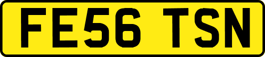 FE56TSN