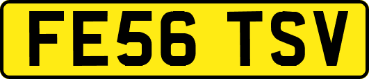 FE56TSV