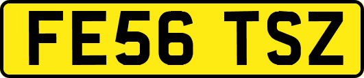 FE56TSZ