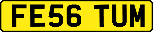 FE56TUM
