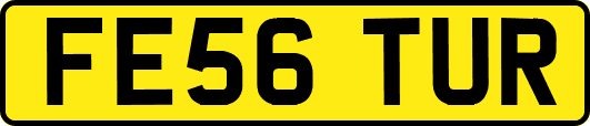 FE56TUR