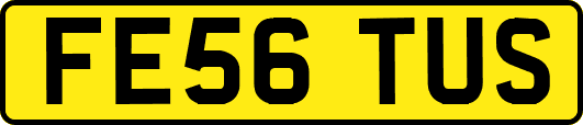 FE56TUS