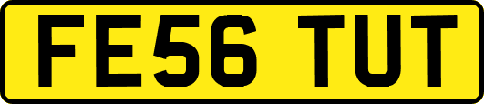 FE56TUT
