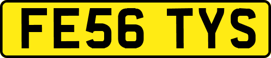 FE56TYS