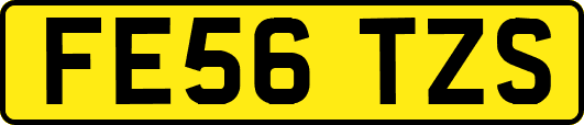 FE56TZS