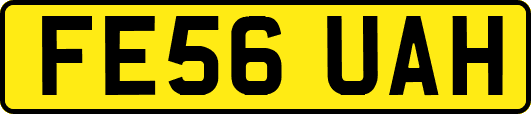 FE56UAH
