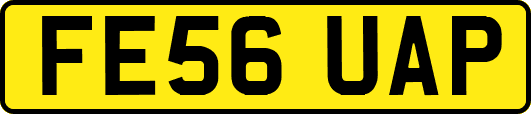 FE56UAP