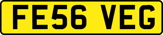 FE56VEG