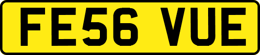 FE56VUE