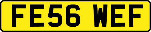 FE56WEF