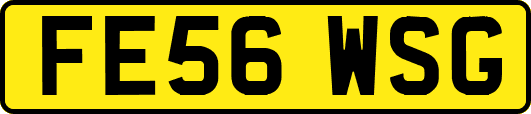 FE56WSG