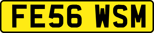 FE56WSM