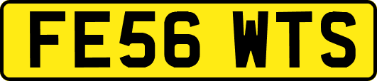 FE56WTS