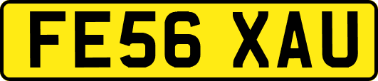 FE56XAU