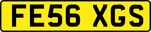 FE56XGS