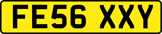 FE56XXY