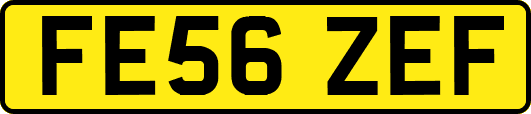 FE56ZEF