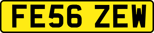 FE56ZEW