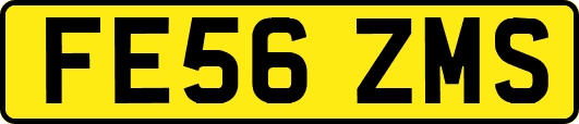 FE56ZMS