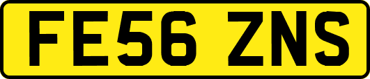 FE56ZNS