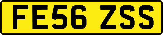 FE56ZSS