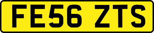 FE56ZTS