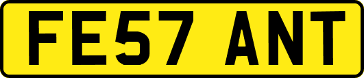 FE57ANT