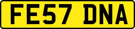 FE57DNA
