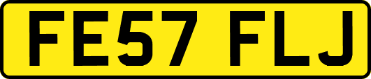 FE57FLJ