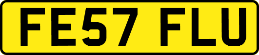 FE57FLU