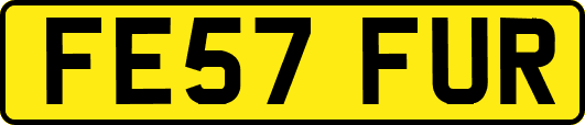 FE57FUR