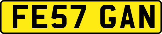 FE57GAN