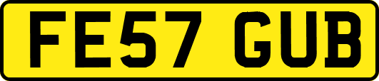FE57GUB