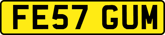 FE57GUM