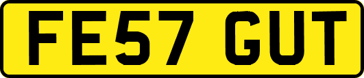 FE57GUT