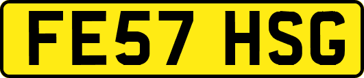 FE57HSG