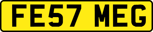 FE57MEG