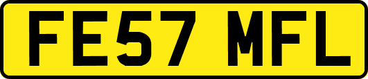 FE57MFL