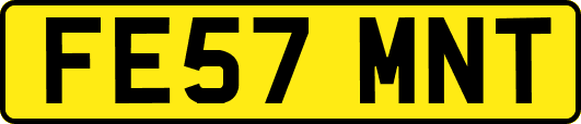 FE57MNT